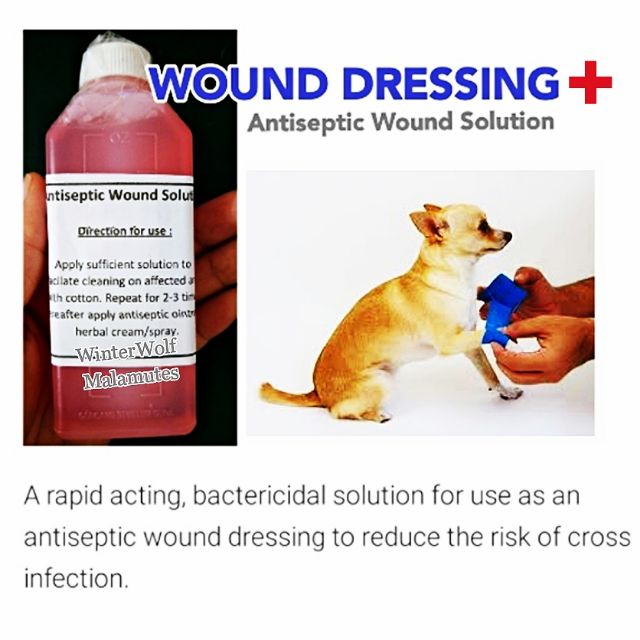 antiseptic spray for dogs