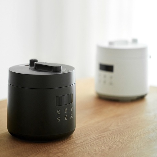 CR176 olayks smart electric pressure cooker household small pressure