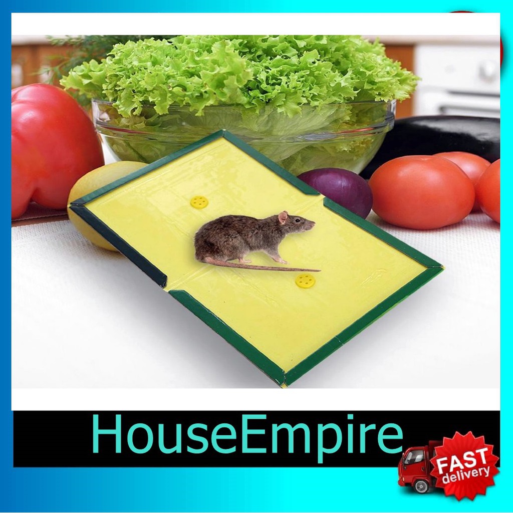 Gam Tikus Thickening Strong Sticky Mice Mouse Perangkap Catcher Trap ...