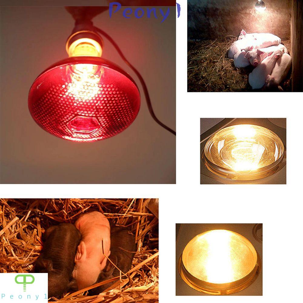 Do I Need A Heat Lamp For Puppies