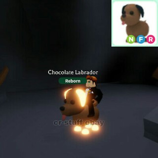 adopt me legendary golden penguin neon - nfr gold penguin in adoptme roblox ebay