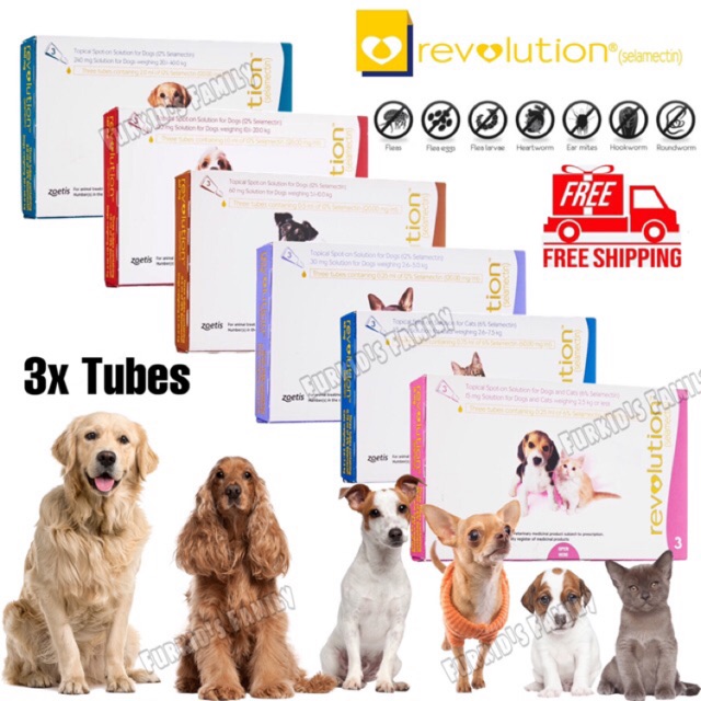 is revolution for dogs safe for cats