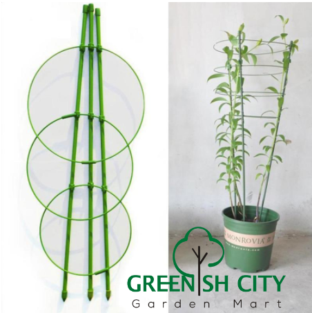 Gnc 60cm 90cm Climber Plant Support With Ring Flower Stand Pokok Penyokong 植物花支柱 Shopee Malaysia