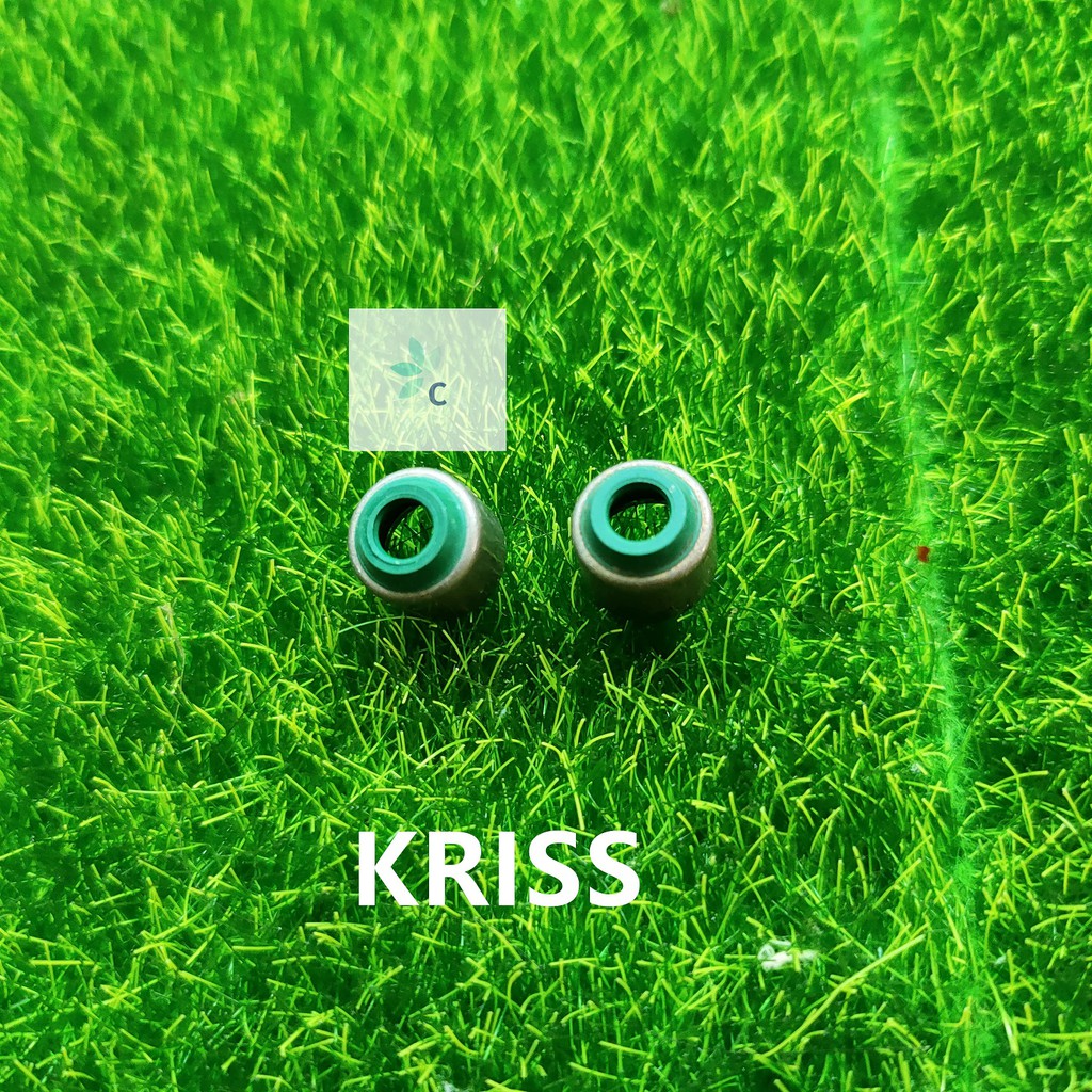 KRISS 1 KRISS 2 KRISS 110 CT110 GT128 VALVE SEAL BARSEAL VALVESEAL