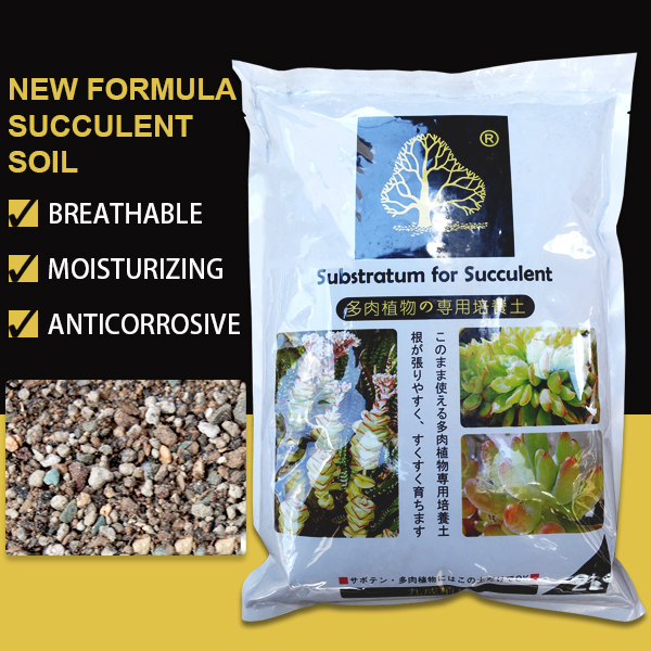 Buy New Formula 2 Liter Substractum Succulent Cactus Soil Stone Tanah 九成新配方 多肉植物培养土 Seetracker Malaysia