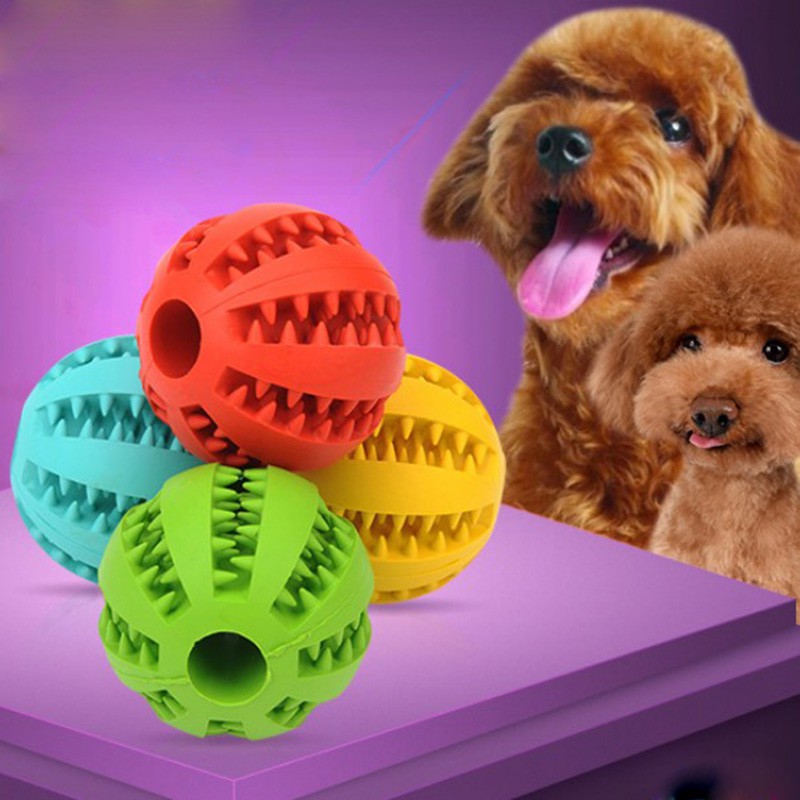 silicone dog toys