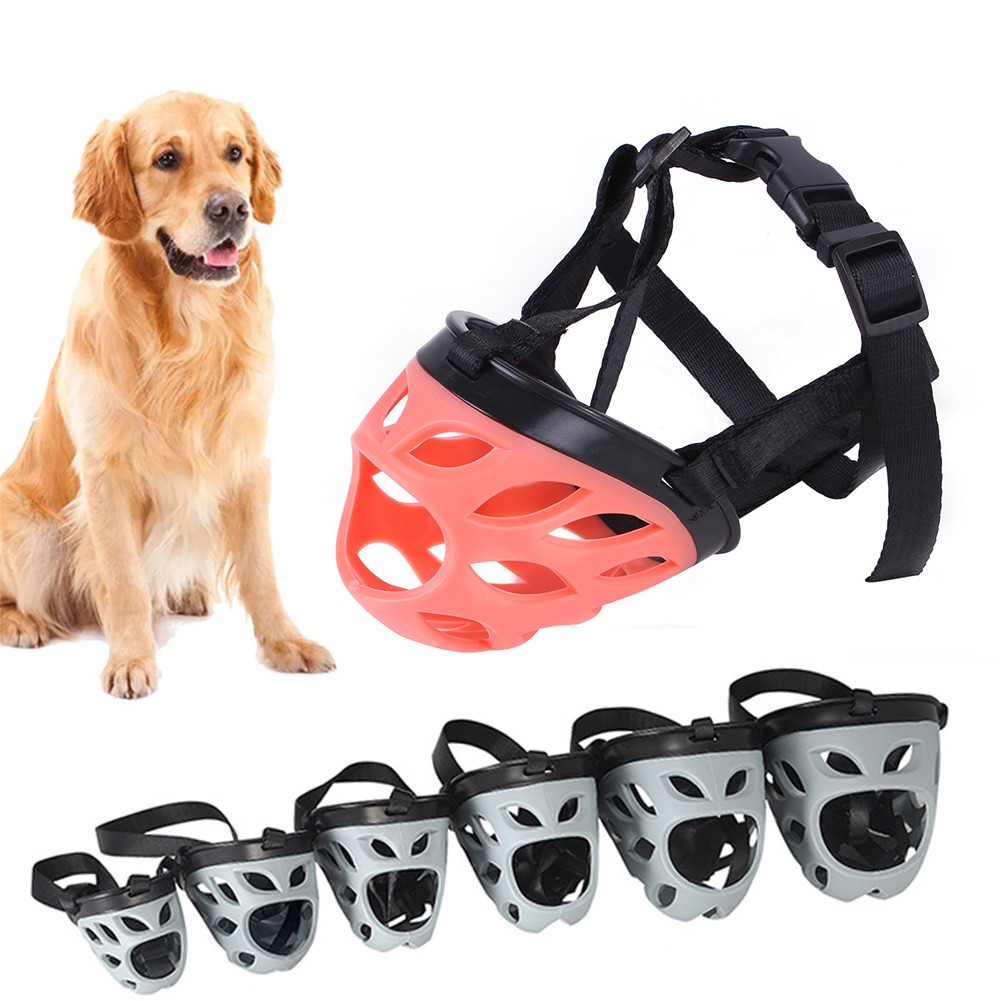 What Color Should Dogs Lips Be