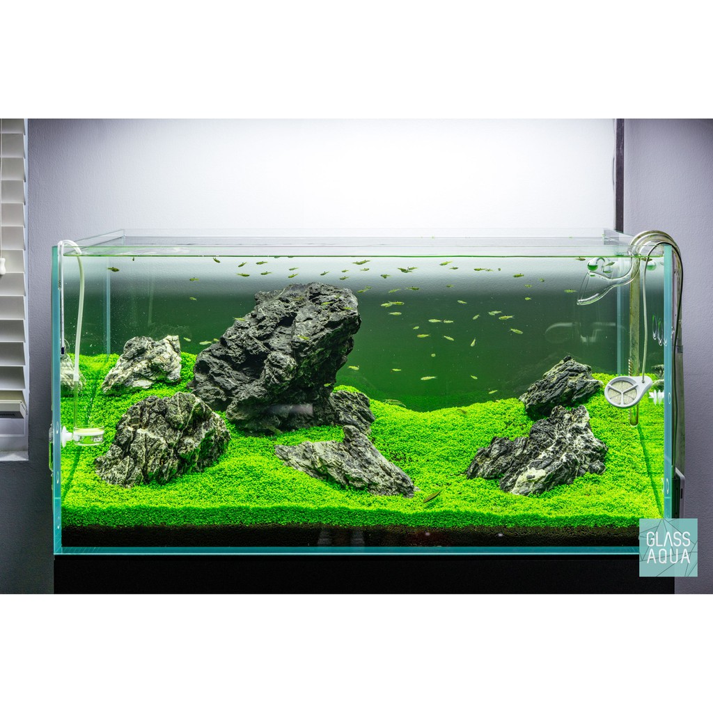 Akuarium Kaca Crytsal Tank Aquascape Marine Fish Tank Super Cc Tank Shopee Malaysia