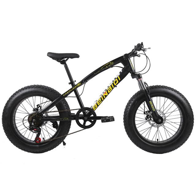 children's 20 inch mountain bike