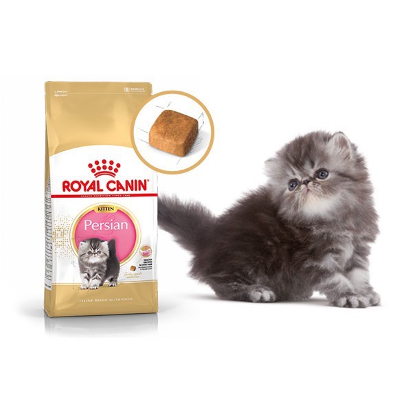 Royal Canin Persian Kitten 2KG Original Pack | Shopee Malaysia