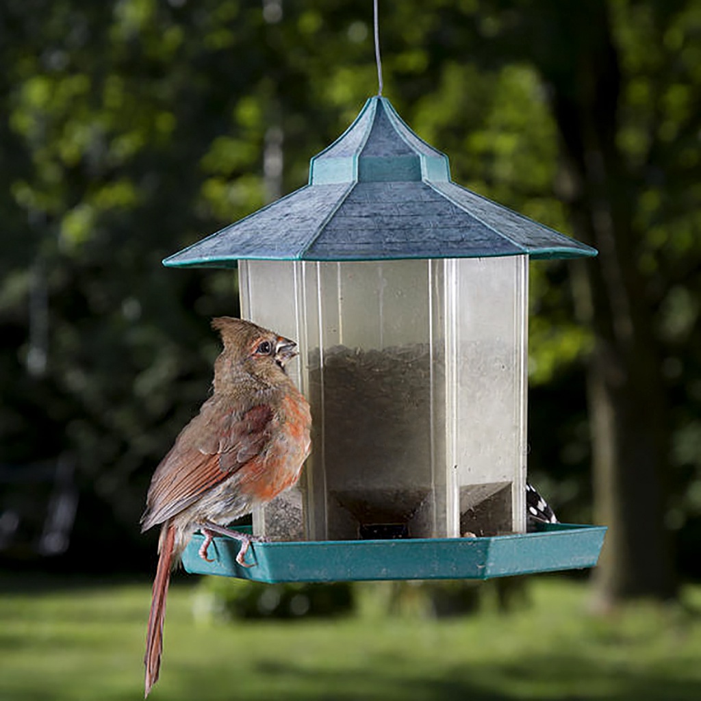 Kitchen Prep Ready Hanging Bird Feeder 500ml Pet Supplies Hummingbird Parrot Pigeon Food Container Window Outdoor Gar...