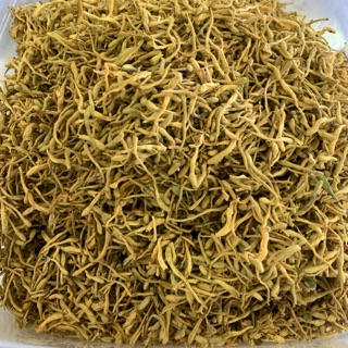Bunga Honeysuckle f Shopee Malaysia Bunga Honeysuckle f Shopee Malaysia