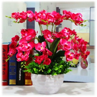 Artificial Flower Orchid Bunga  Orkid Hiasan  Viral  Shopee 