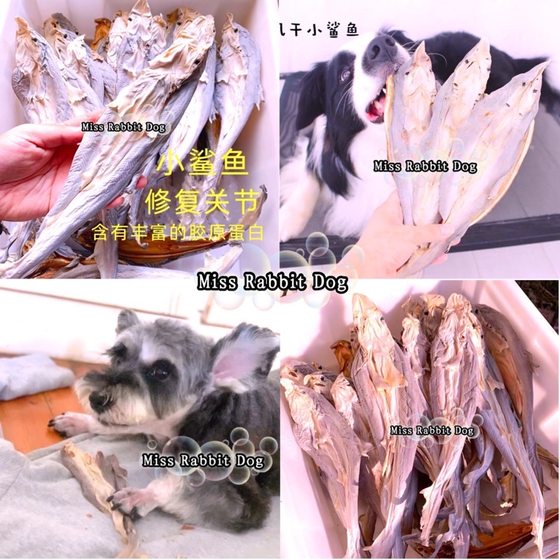 Handmade Dehydrated Shark Dog Treat Pet Snack Air Dried纯手工风干宠物小鲨鱼狗狗磨牙酥脆爽口小鲨鱼/纯天然制作 0添加 低温风干宠物零食