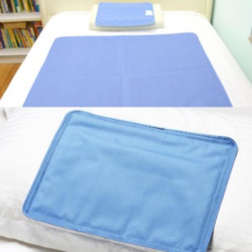 Kyoryo Cool Bed Gel Bed Pillow Mat Mattress Pad Case Shopee Malaysia