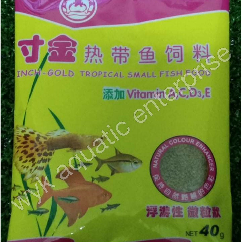 inch gold tropical small fish food