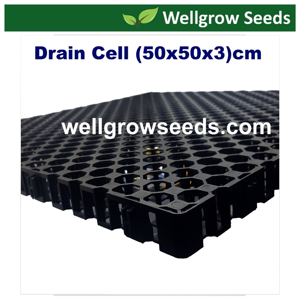 Drain Cell For Drainage (50x50x3cm) | Shopee Malaysia