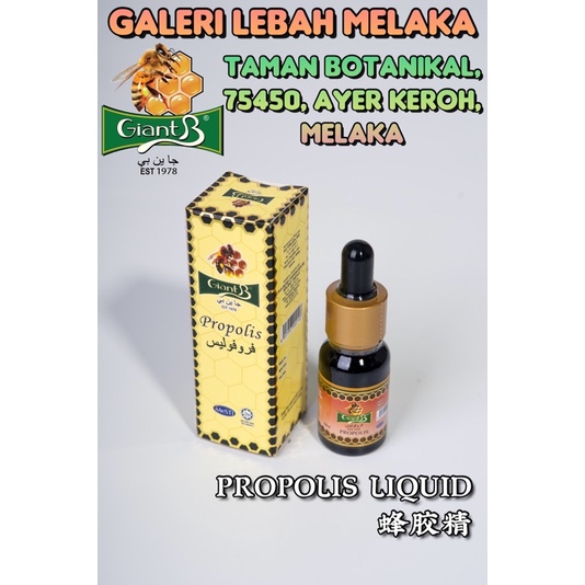 Giant B Honey ( Propolis Liquid 蜂胶精 ) 10ml | Shopee Malaysia