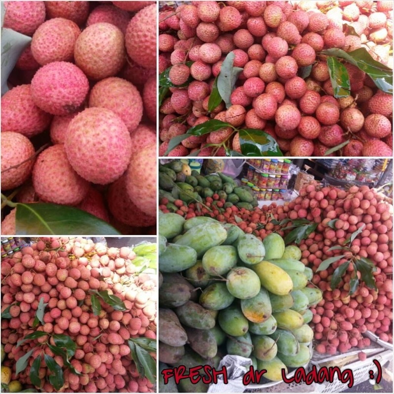 Buah Laici Segar Laicy Fruit 1 Kilo Shopee Malaysia