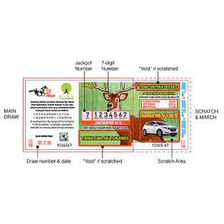 Damacai Big Sweep Dacai Big Sweep 大彩 Lucky Draw Buy 20 Pcs Free 1 Pc Latest Draw Shopee Malaysia
