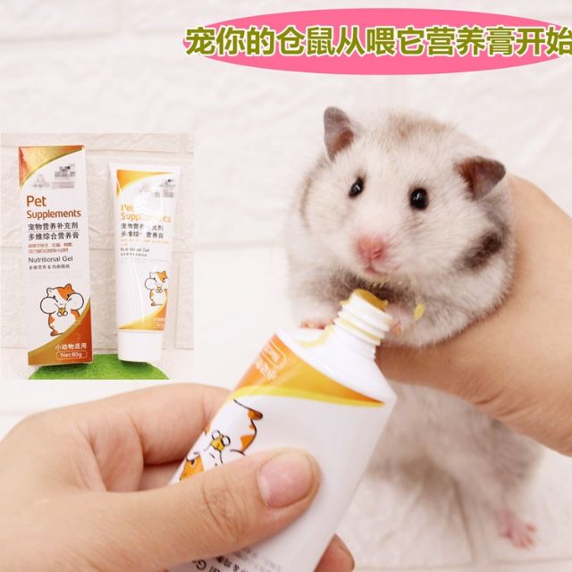 Hamster Nutrition Paste Small Pet 仓鼠金丝熊化毛排毛膏营养膏80g兔子龙猫花枝鼠通心仓鼠用品 Shopee Malaysia