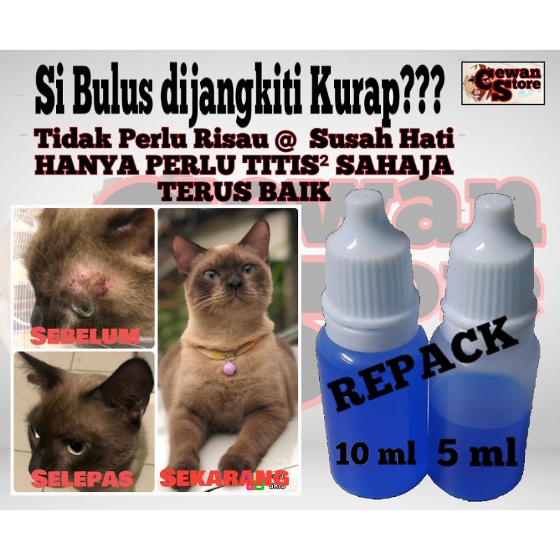 Buy Ubat kurap Si Bulus Kesayangan (REPACK) 1 Botol sahaja 