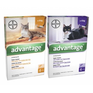 UBAT KUTU KUCING @ ANJING (BERKESAN)  Shopee Malaysia