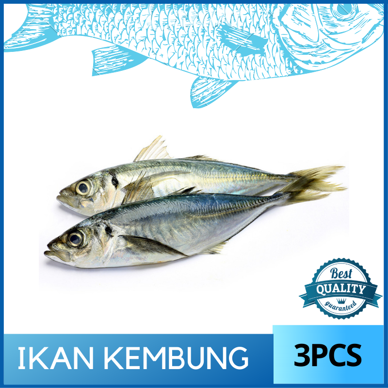 Ikan Kembung 300g Vacuum Packed