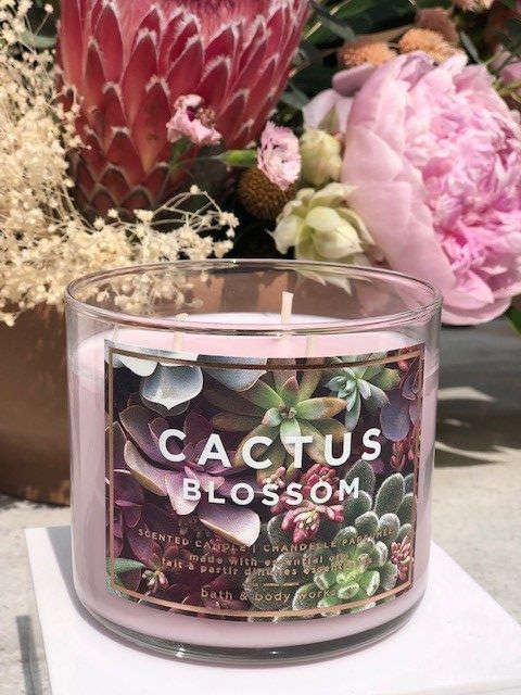 Cactus Blossom Range🔹Bath and Body Works