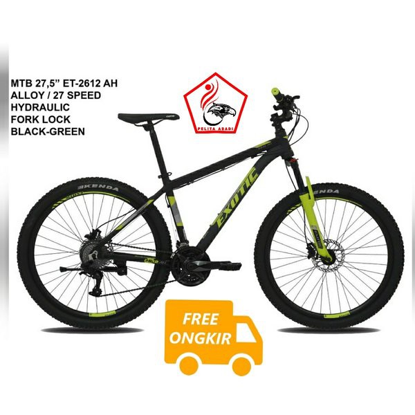 exotic mountain bike price