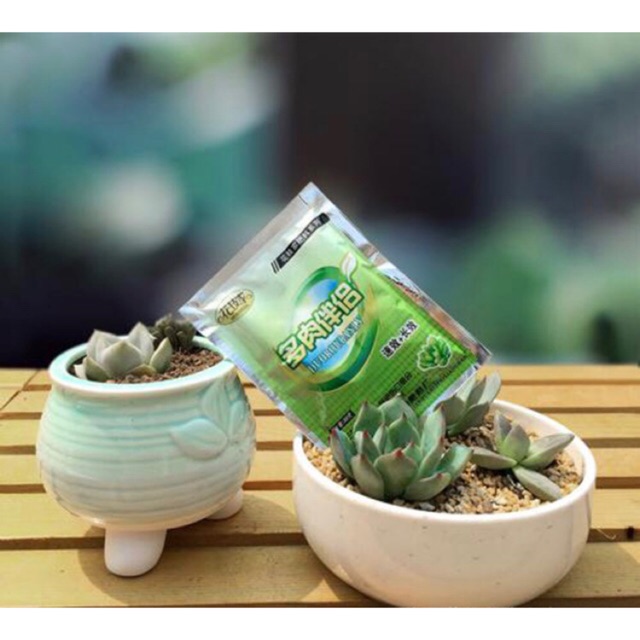 多肉伴侣多肉植物肥料 Succulent Cactus Fertilizer Shopee Malaysia