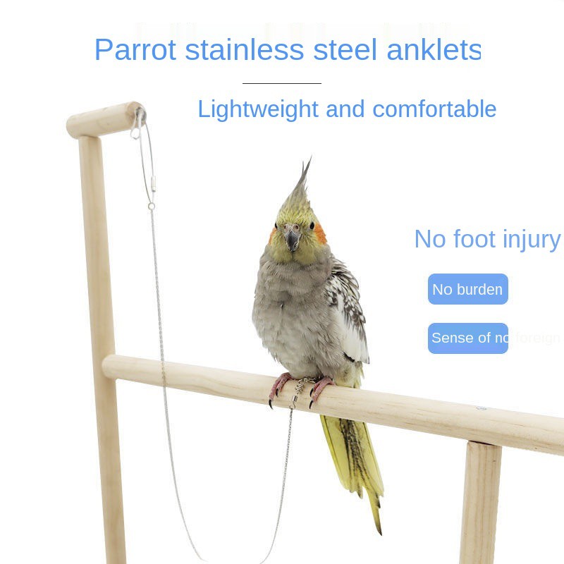 Parrot foot chain, bird ring, tiger skin, black phoenix, peony traction rope, flying stand, chain suppliesRantai kaki bu