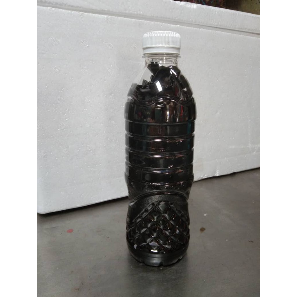 Cincau Palut Dalm Botol 500ml Shopee Malaysia