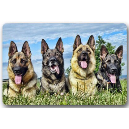 Cute Pet German Shepherd Dog Pictures Mat Floor Mat Door Mat