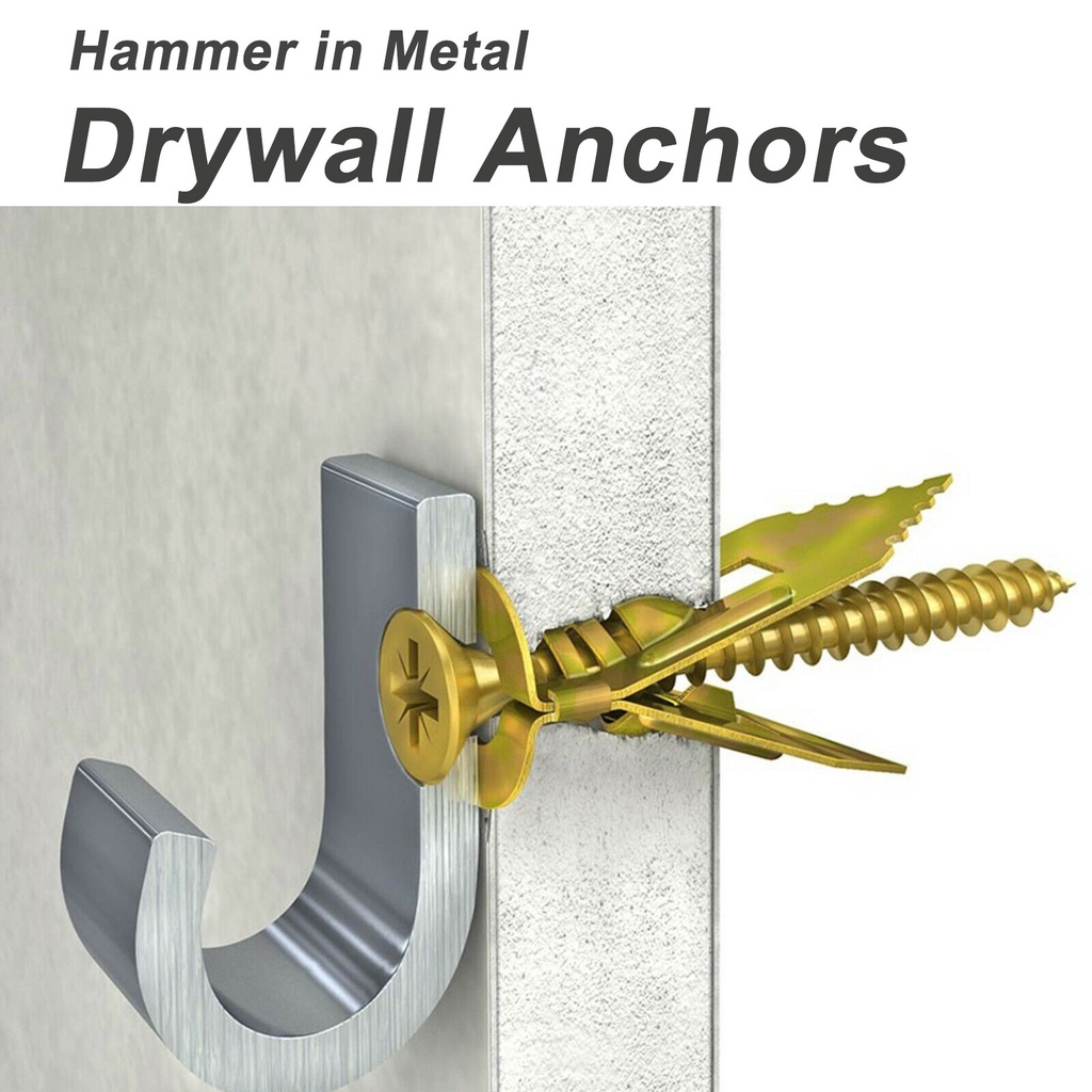 Hammer in Metal Drywall Anchors 10x30mm with Self Tapping Screws Kit