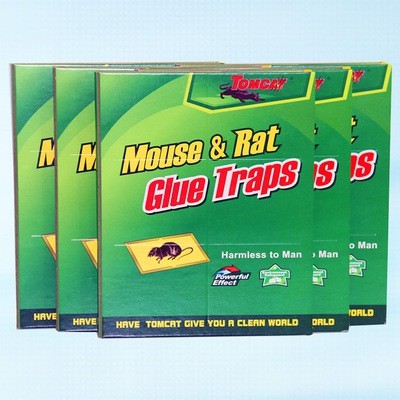 Mouse & Rat Glue Trap Gam Perangkap Tikus Papan Getah Perangkap ~1pc ...