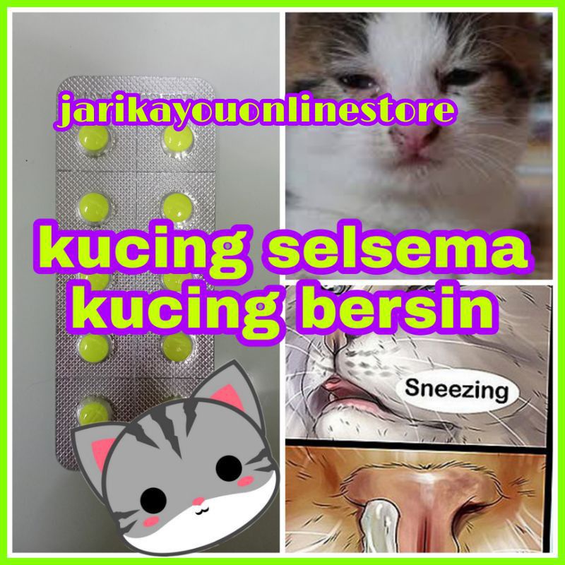 10 BIJI : READY STOCK! ubat selsema kucing/ merawat bersin kucing/