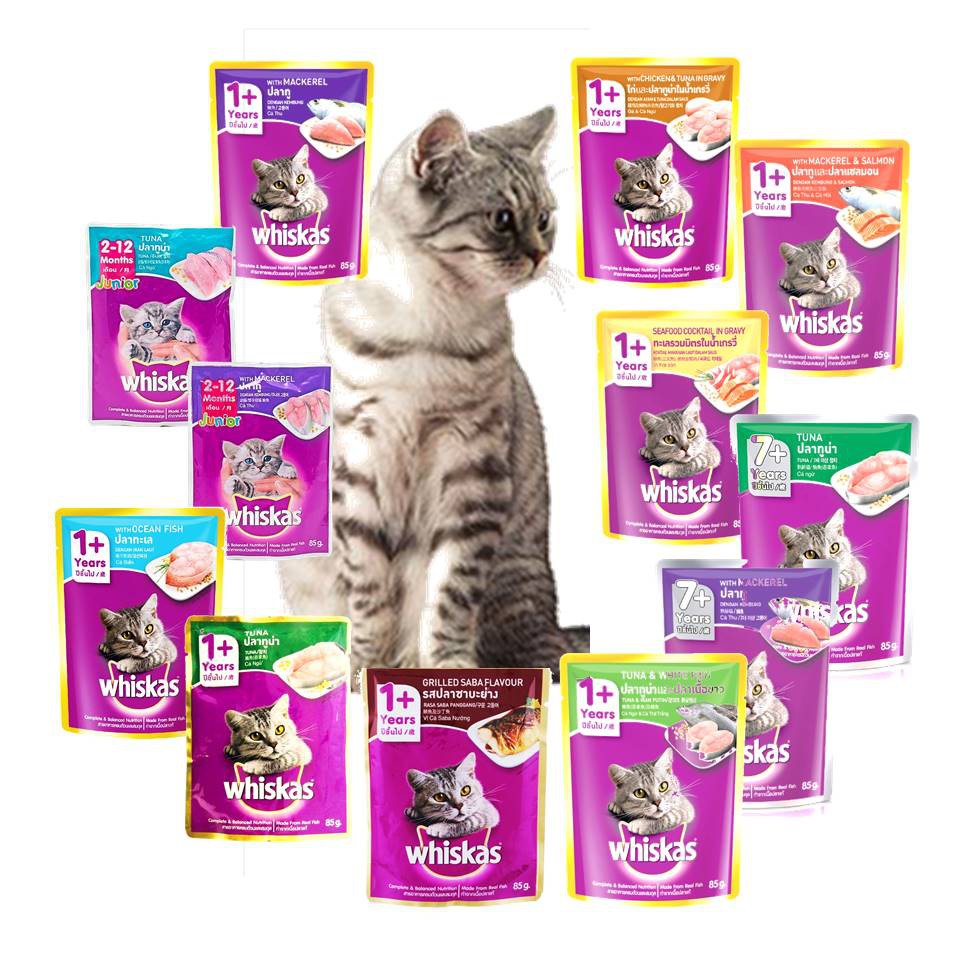 Whiskas Pouch Cat Wet Food 80g Shopee Malaysia