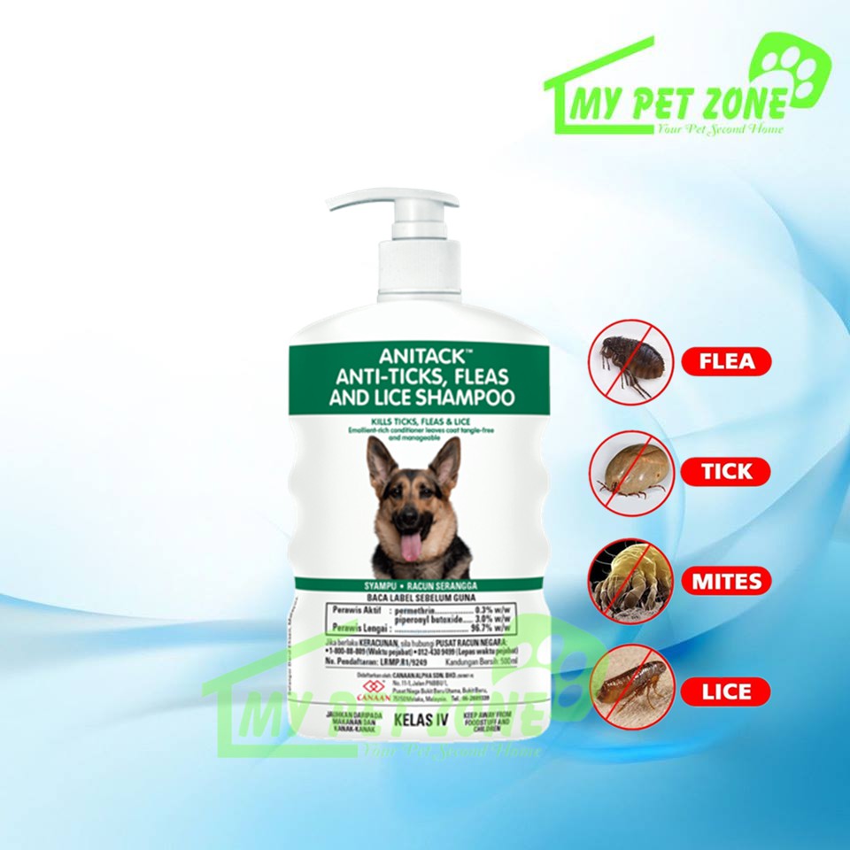 can lice shampoo kill fleas on dogs