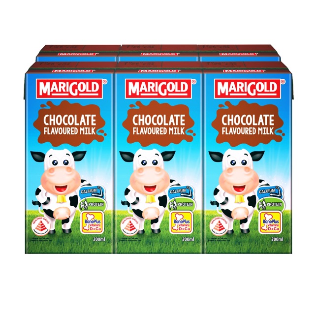 Chocolate Milk UHT Marigold (6 X 200ml) Shopee Malaysia