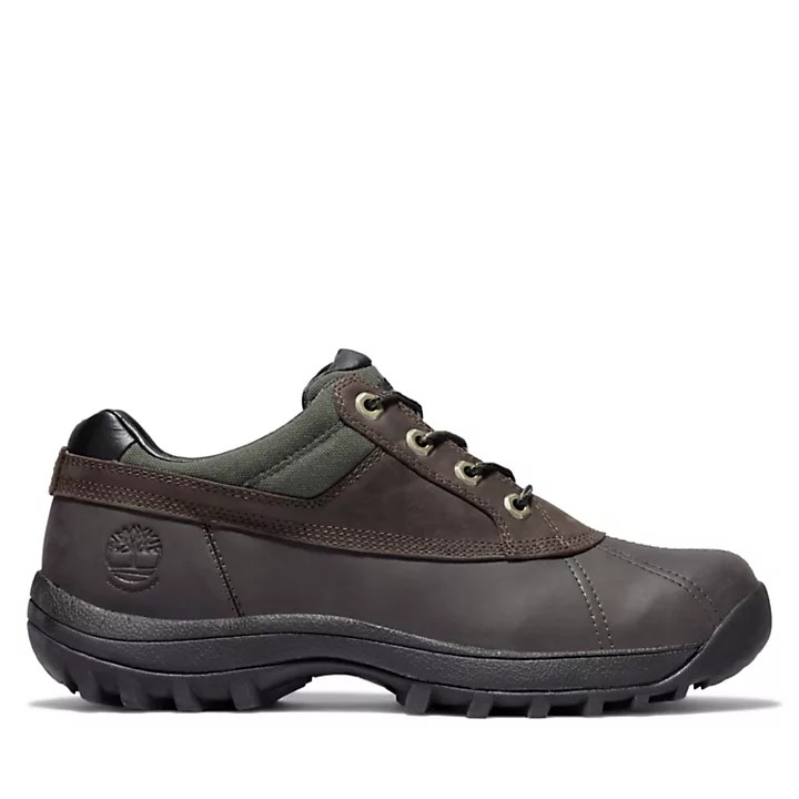 men's canard waterproof oxford shoes