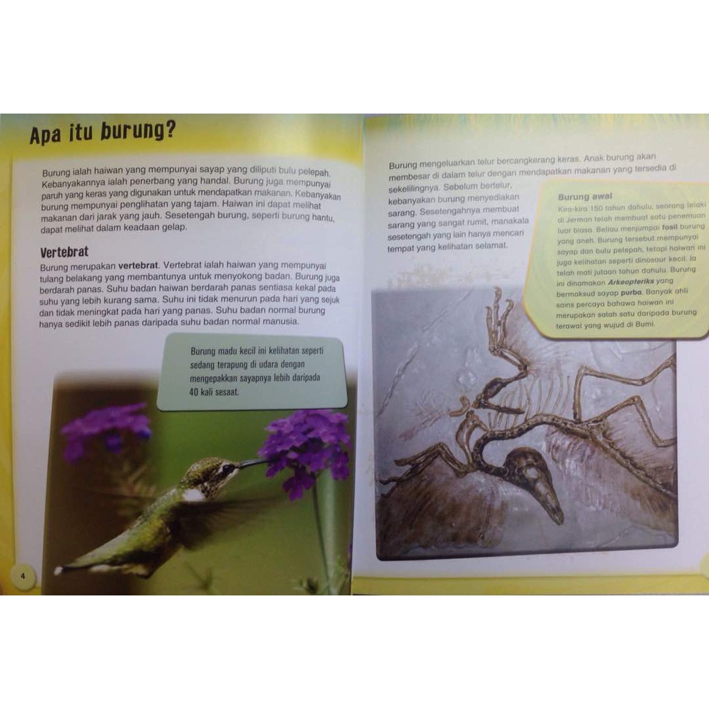 Ready Stock Buku Kanak Kanak Kitaran Hidup Haiwan The Life Cycles Of Animals Shopee Malaysia