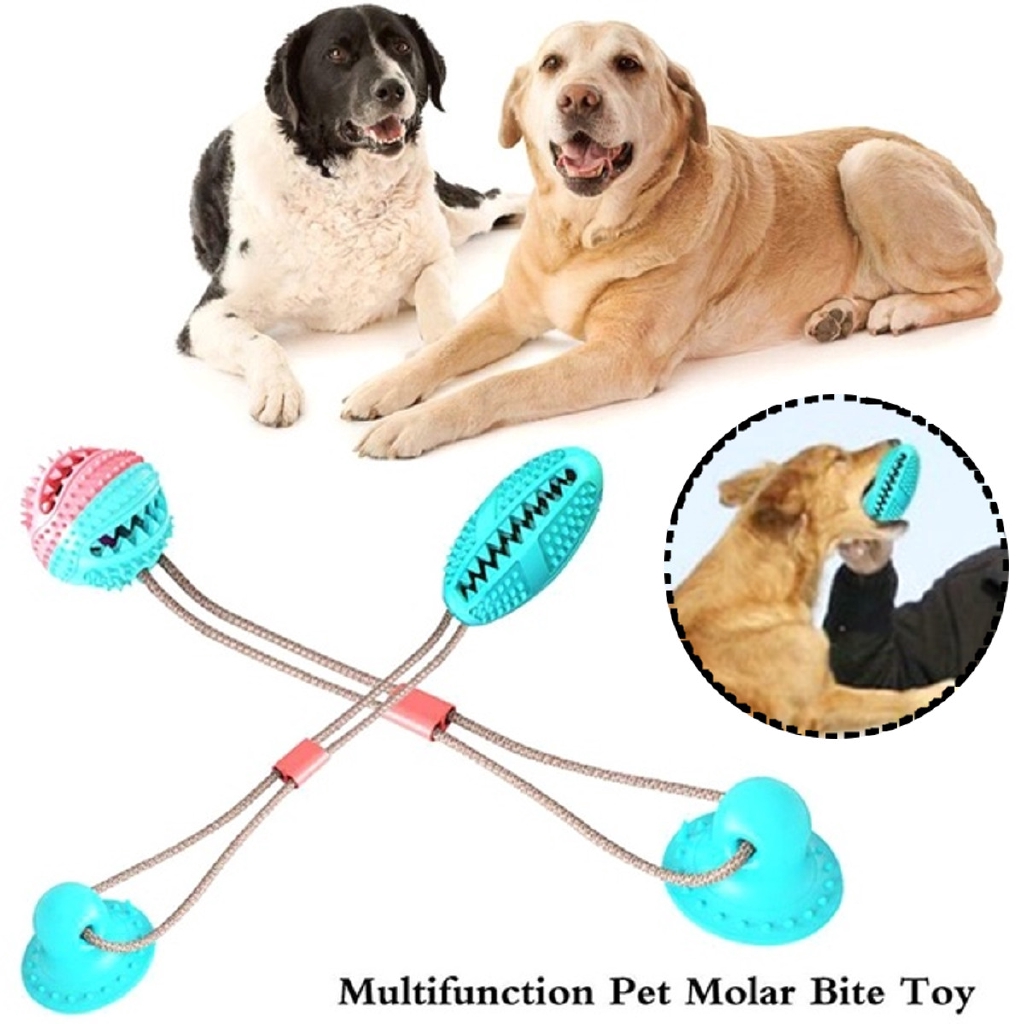 suction cup ball dog toy