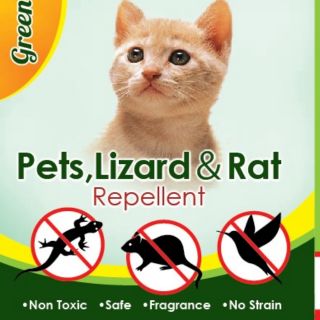 RaCun CicaK LiZard ⭐⭐⭐  Shopee Malaysia