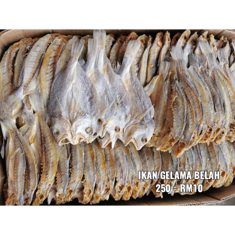 Ikan Gelama Belah Kering Tawau, Sabah (250g) | Shopee Malaysia