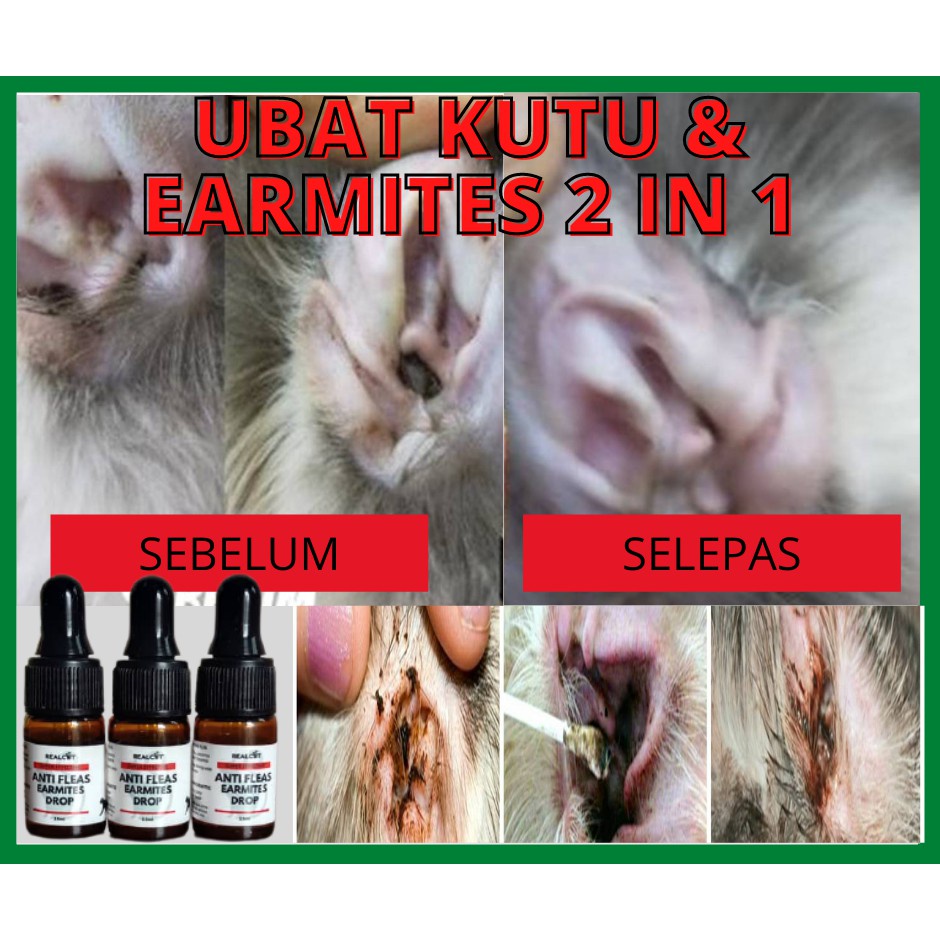 Ubat Kutu Anak Kucing Prices And Promotions Jun 2022 Shopee Malaysia