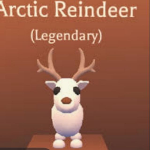 Arctic Reindeer Adopt Me Shopee Malaysia - details about roblox adopt me legendary arctic reindeer fly and ride brand new