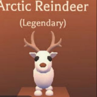 Adopt Me Golden Penguin Rideable Shopee Malaysia - roblox adopt me legendary ride fly arctic reindeer read