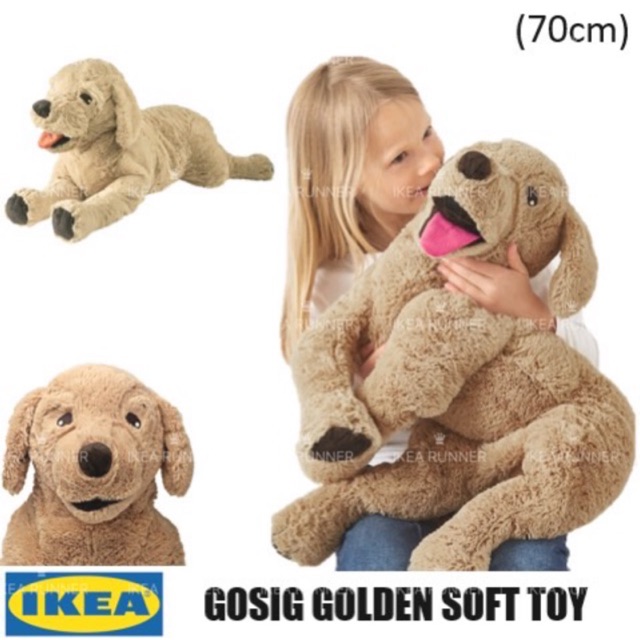 ikea golden retriever