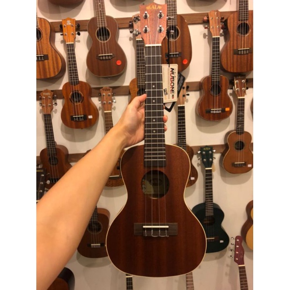 Kala KA-CE Concert Size Ukulele Mahogany Body Aquila Strings With Built in tuner and pick up